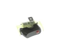 Interrupteur M/A Raclette, gril, Wok TS-01035760 - 346315