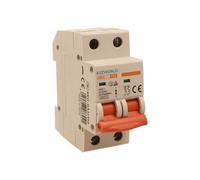 Interrupteur magnétothermique 50 A C50, bipolaire 2P, courbe C 6 kA, 2 modules DIN 220 V AC, certifié IEC60898-1, série SB6L