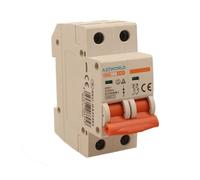 Interrupteur magnétothermique 63A C63, bipolaire 2P, courbe C 6kA, 2 modules DIN 220 V AC, certifié IEC60898-1, série SB6L