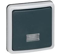 Legrand Interrupteur Va-et-vient Plexo 090480 Étanche à voyant 10A IP66 Gris