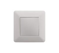 Interrupteur poussoir 10A Blanc