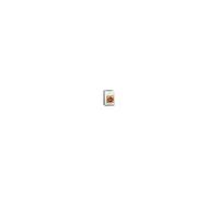 Interrupteur-sectionneur TESYS VARIO VCF en coffret 3P 32A - - VCF2GE