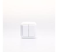 Interrupteur série à 2 voies interrupteur en saillie | Parure | Interrupteur d'éclairage, interrupteur double série AP 250V/ 10A interrupteur à bascule double interrupteur pour l'intérieur, blanc