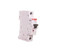 Interrupteur surintensité 1P B 63A 6kA AC S200 2CDS251001R0635