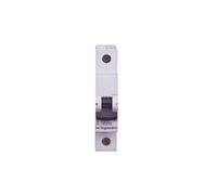 Interrupteur surintensité 1P C 25A 6kA AC S301 SRX3 419204