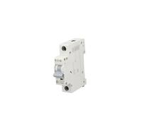 Interrupteur surintensité 1P C 40A 6kA AC xPole Home 194835