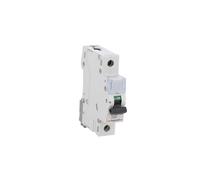 Interrupteur surintensité 1P D 10A 6kA AC S301 S300 TX3 403719