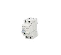 Interrupteur surintensité 1P+N C 16A 6kA AC xPole Home HN 194851