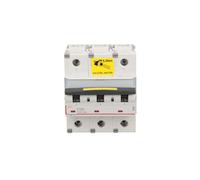 Interrupteur surintensité 3P C 100A 16kA AC 10 S310 série 409281