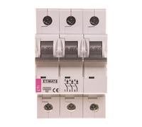 Interrupteur surintensité 3P C 10A 6kA AC ASTI-ETIMAT 6 002145514