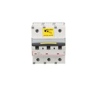 Interrupteur surintensité 3P C 80A 16kA AC 10 S310 série 409280