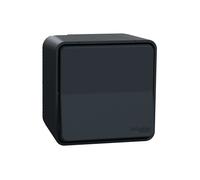 Interrupteur va-et-vient MUREVA STYL connexion automatique gris - SCHNEIDER ELECTRIC - MUR35021