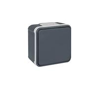 Interrupteur Va-et-vient Oxxo - 1 poste - 10AX - 250V - Gris