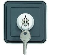 Interruptor con llave, 2 posiciones, superfície, gris