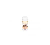 Intersa diététique désodorisé à l'ail désodorisé 100 gélules