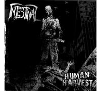 Intestinal - Human Harvest [Import]