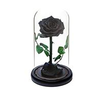 INTIGNIS Rose éternelle sous Cloche en Verre Fleur Noire préservée Jusqu’à 5 Ans Cadeau fabriqué à la Main pour Femme Anniversaire Noël Fête des Mères Journée des Amoureux (Noire)
