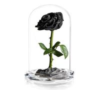 INTIGNIS Rose Stabilisée sous Cloche en Verre, Véritable Fleur Préservée Jusqu’à 5 Ans, Cadeau Élégant pour Femme, 25 cm avec Fleur 8 cm, Base Décorative (Noir)