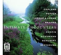 Intimate Encounters - Mood Album for Private Moments
