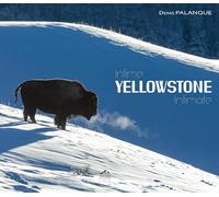 Intime Yellowstone