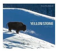 Intime Yellowstone Denis Palanque (Auteur)