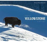 Intime Yellowstone Edition bilingue français-anglais - Denis Palanque - Palanque Denis - relié - Beau livre