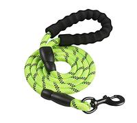 Intirilife Nylon réfléchissant Laisse de Chien Animal de Compagnie en Vert avec Une Longueur de 1.5 mètres pour Promener Votre Animal de Compagnie