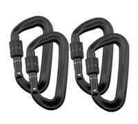 Intirilife Set de 4 mousquetons pour charges lourdes en noir