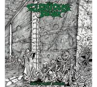 Into Lifeless Shrines