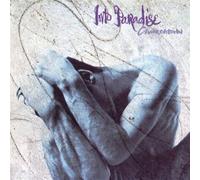 Into Paradise - Churchtown