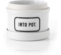 Into Pot Planter w Drip Tray by Galison Galison (Auteur)