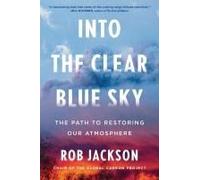Into The Clear Blue Sky