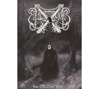 Into The Dark Forest.