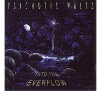 Into The Everflow [Import]