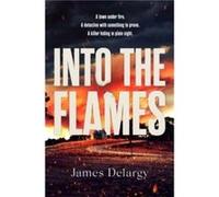 Into the Flames by James Delargy James Delargy (Auteur)
