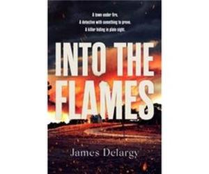 Into the Flames by James Delargy James Delargy (Auteur)