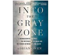 Into The Gray Zone