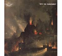 INTO THE PANDEMONIUM LP GERMAN NOISE 1987 10 TRACK GATEFOLD SLEEVE WITH INNER (N0065)