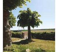 Into The Second Half