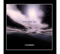 Into the Sky