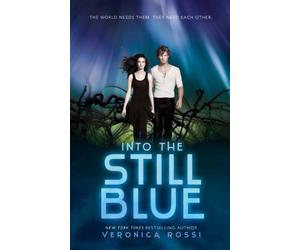 Into the Still Blue
