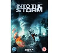 Into The Storm [Edizione: Regno Unito] [Import]