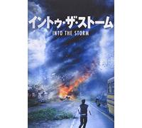 Into the Storm [Import allemand]