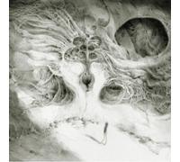 Into The Void Of Human Vacuity