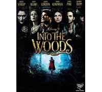 Into the Woods (DVD) [Standard]