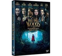 Into the Woods : Promenons-nous dans les bois – DVD – Disney