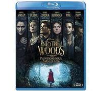 Into The Woods : Promenons-Nous Dans Les Bois - Blu-Ray