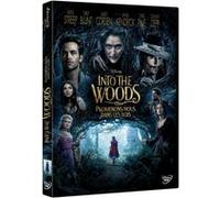 Into the Woods : Promenons-nous dans les bois – DVD – Disney