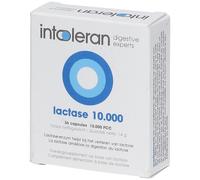 intoleran lactase 10.000 - 36 capsules Capsule(S) pc(s)