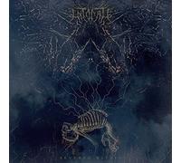Intonate – Severed Within – Vinyle LP couleur aléatoire
